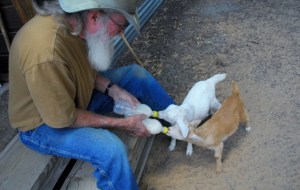 hunkerdown 011 (800x536)