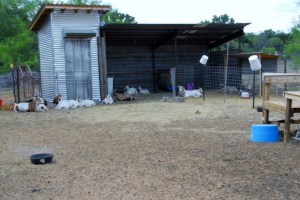 hunkerdown 023 (800x536)