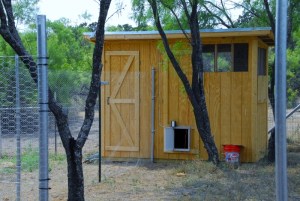 hunkerdown 025 (800x536)