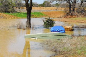 nnikon at the ranch 009