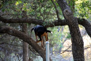 missy&babies+ 001 (800x536)