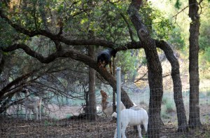 missy&babies+ 003 (800x527)